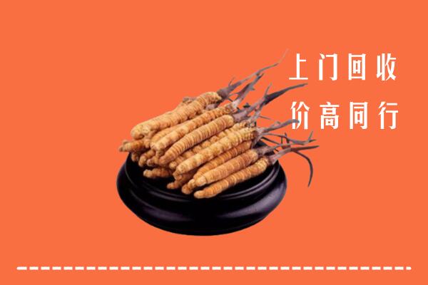 高价求购：三明回收散虫草