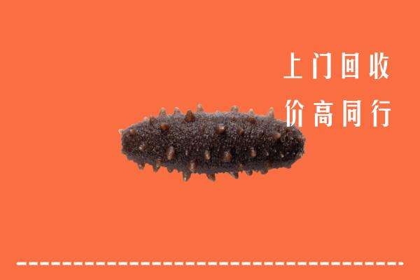 高价求购：三明回收海参