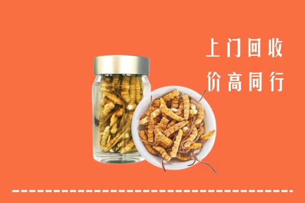 三明回收冬虫夏草